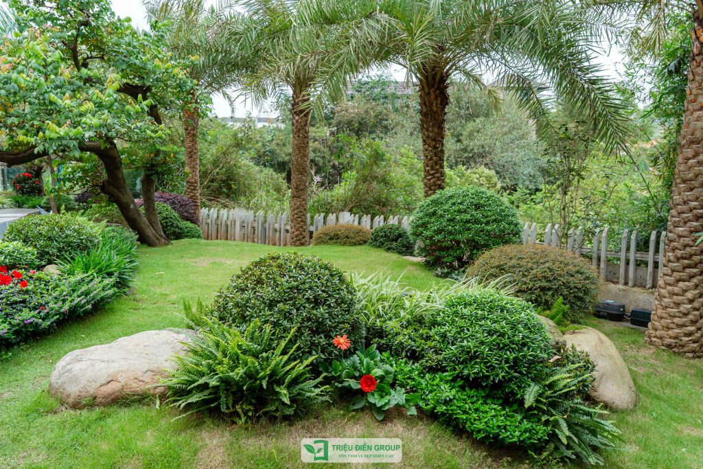 Thiết kế thi công sân vườn trọn gói tại hà nội