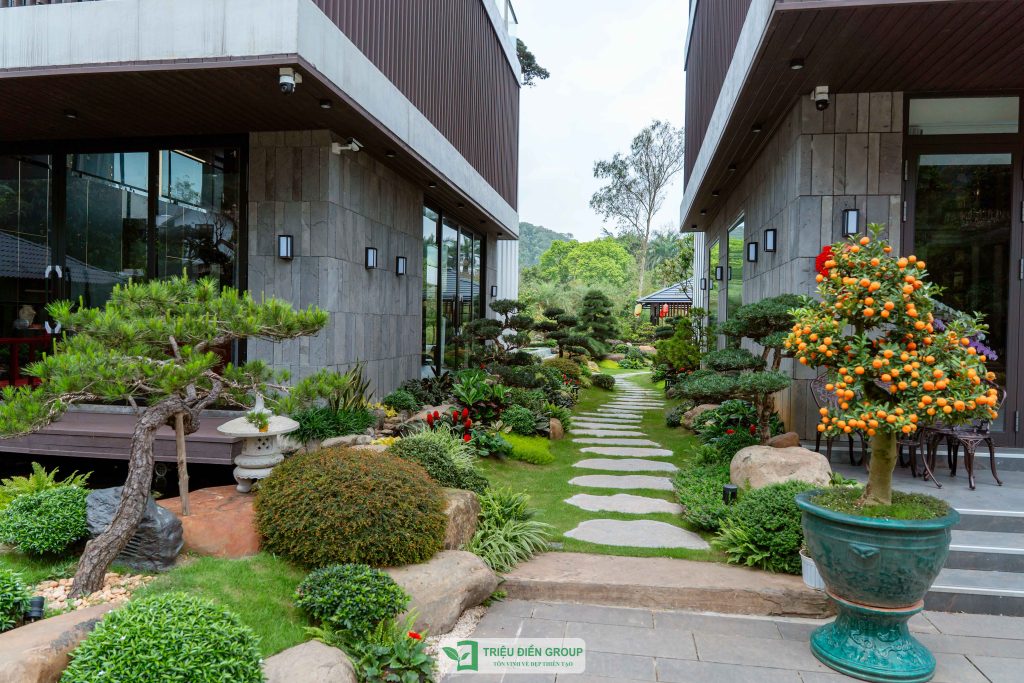 Thiết kế thi công sân vườn trọn gói tại hà nội