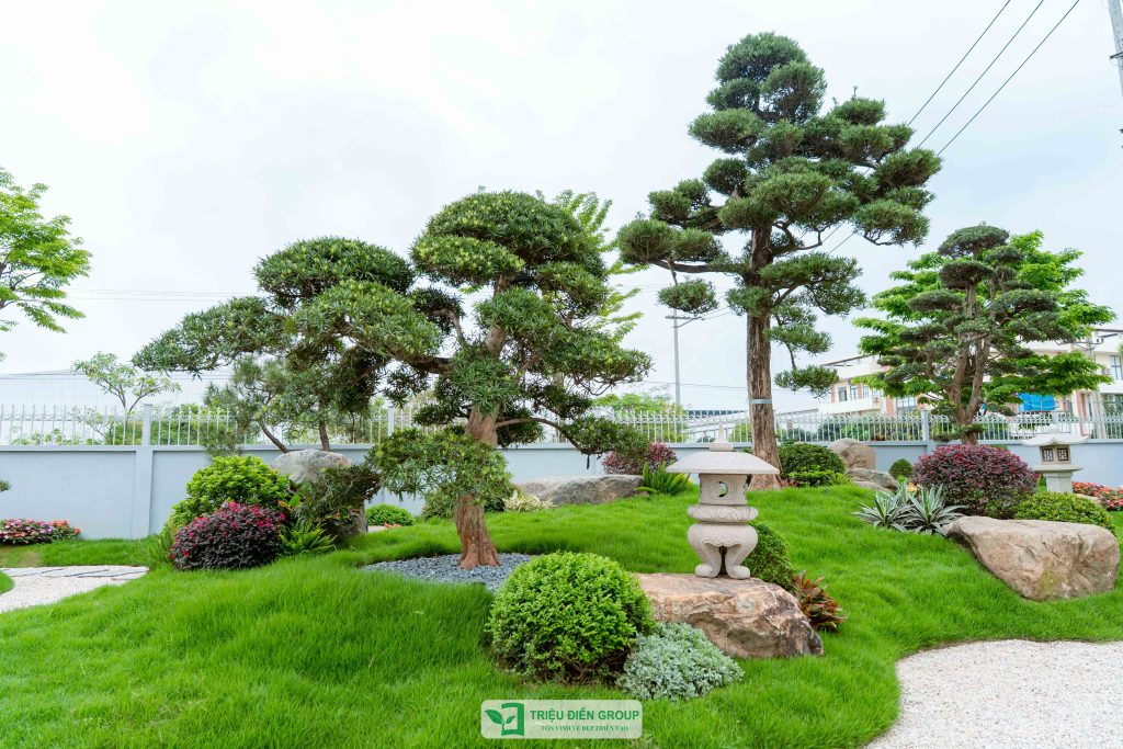 Thiết kế thi công sân vườn trọn gói tại hà nội