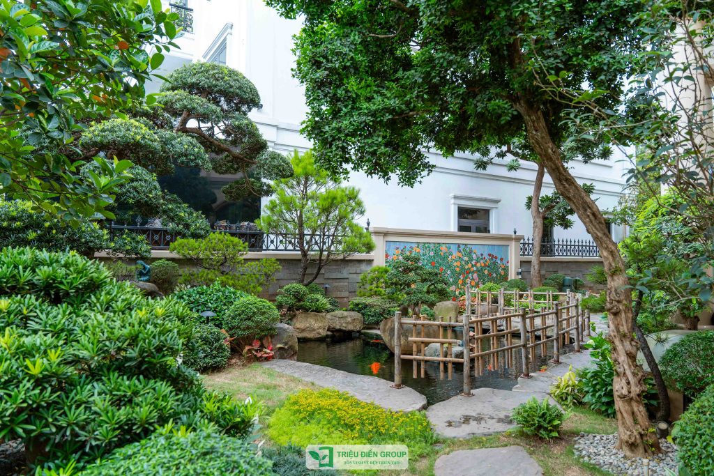 Thiết kế thi công sân vườn trọn gói tại hà nội