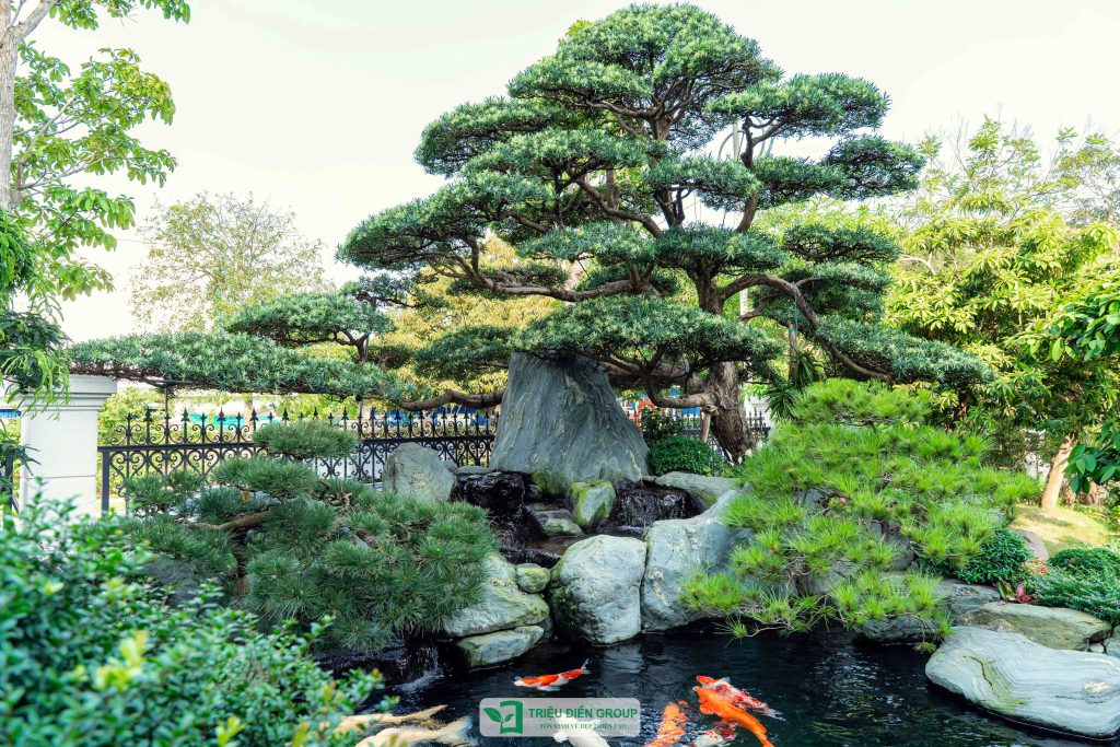 Thiết kế thi công sân vườn trọn gói tại hà nội