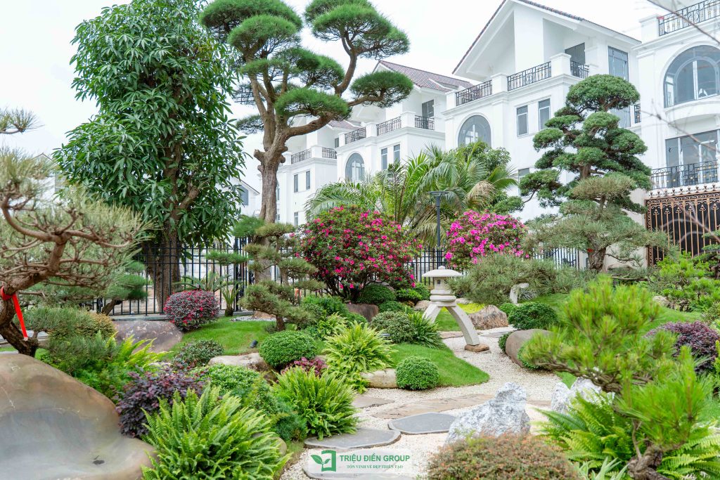 Thiết kế thi công sân vườn trọn gói tại hà nội