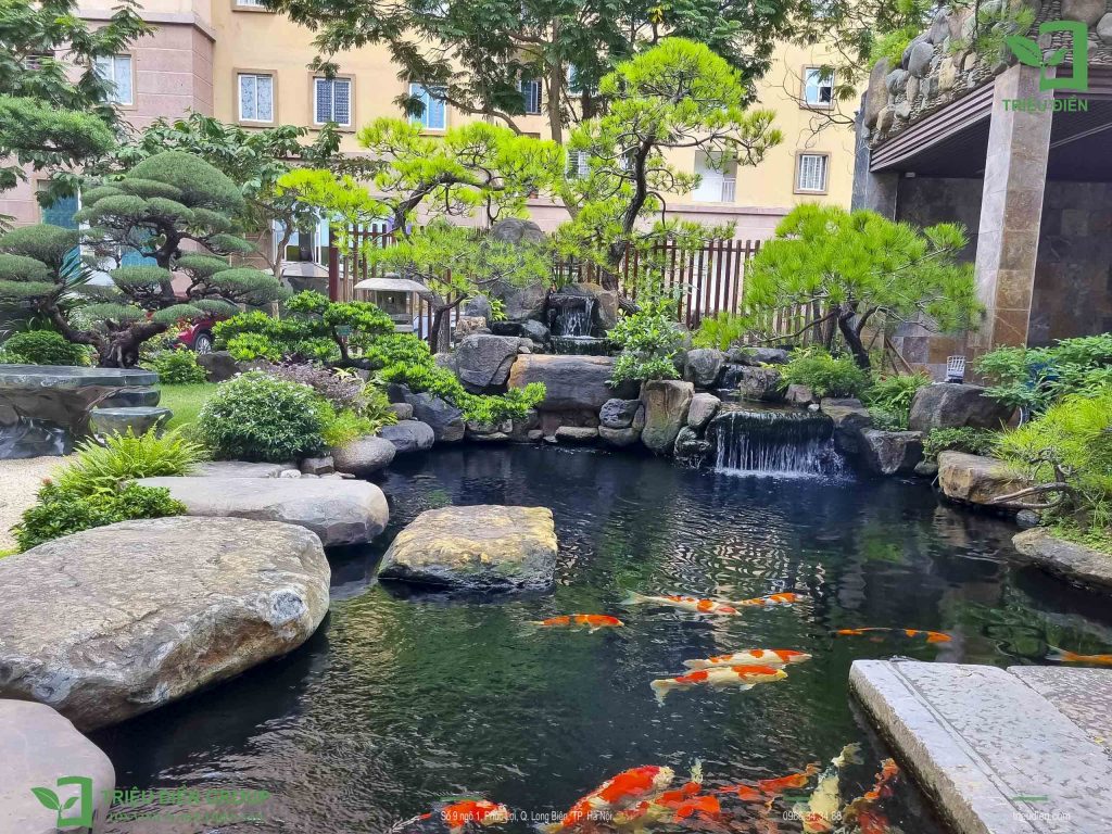 Tìm hiểu Nghệ thuật nuôi cá Koi chuẩn Nhật ngay trong vườn nhà 2 Thiết kế thi công sân vườn trọn gói tại hà nội