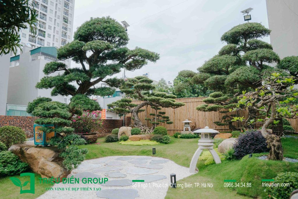 Top 20+ Mẫu sân vườn đẹp nhất 2025 – Xu hướng thiết kế hiện đại 7 Thiết kế thi công sân vườn trọn gói tại hà nội