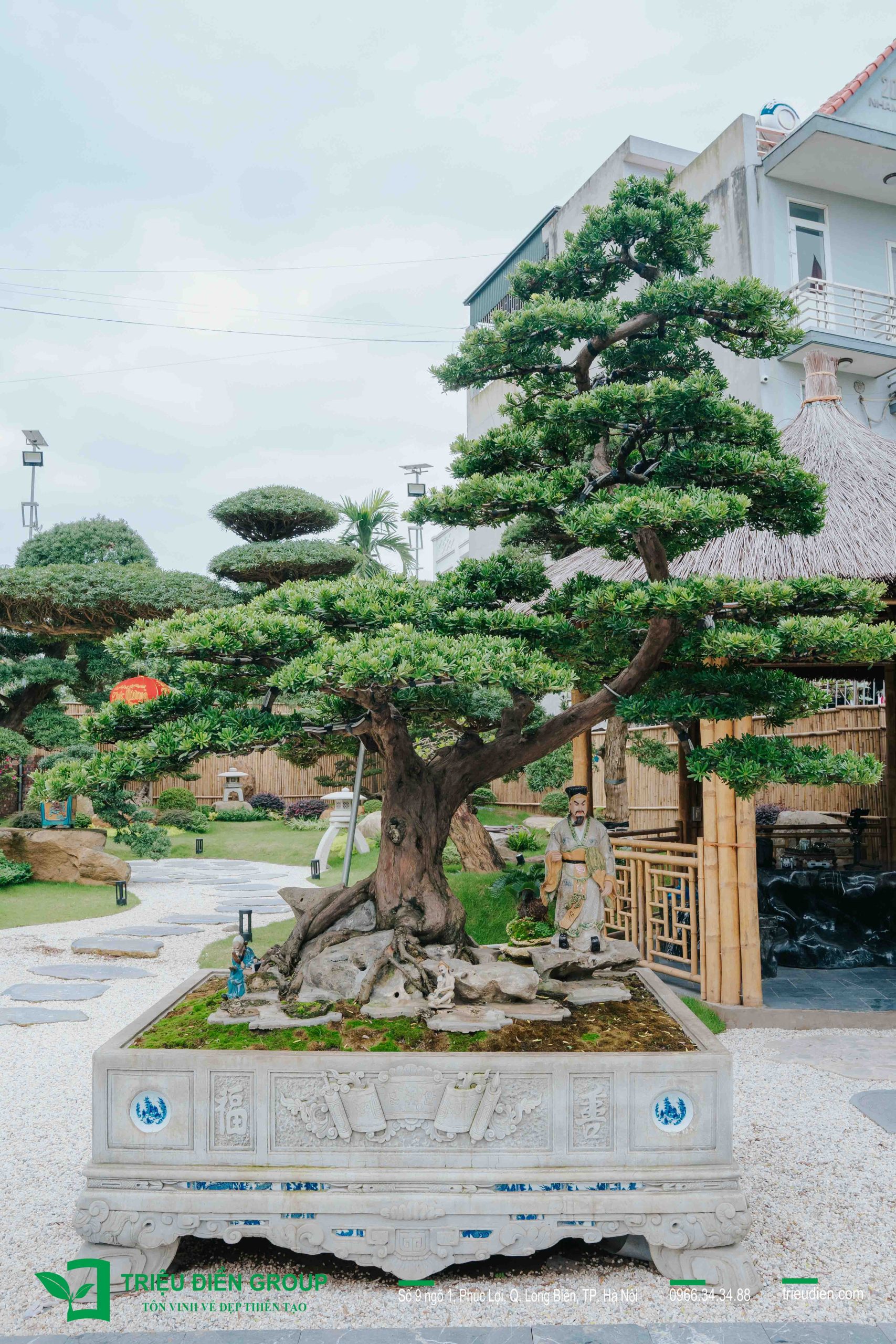 Thiết kế thi công sân vườn trọn gói tại hà nội