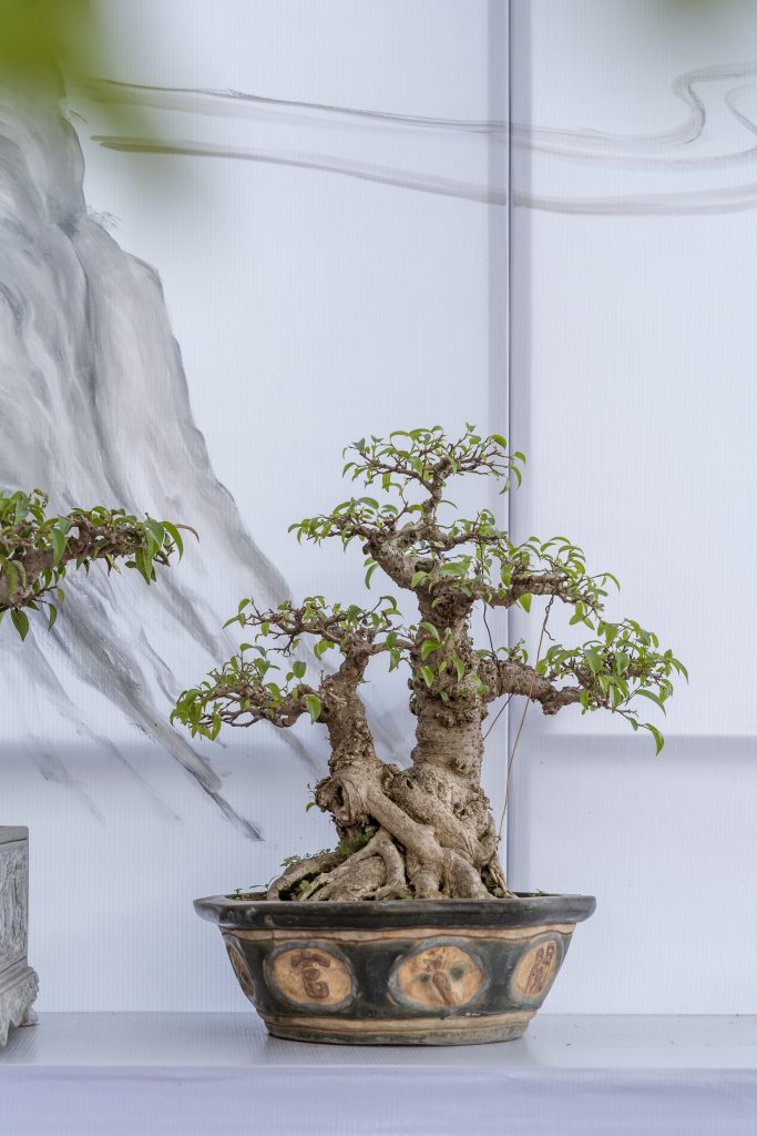 Thiết kế thi công sân vườn trọn gói tại hà nội