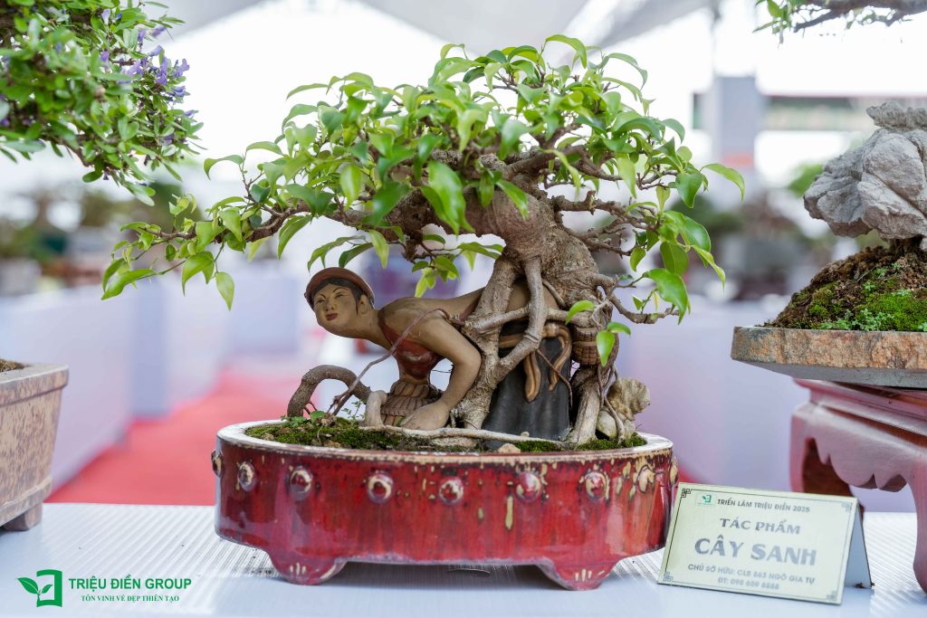 Khám phá 10 Tác phẩm Bonsai đẹp, độc đáo 2025 4 Thiết kế thi công sân vườn trọn gói tại hà nội