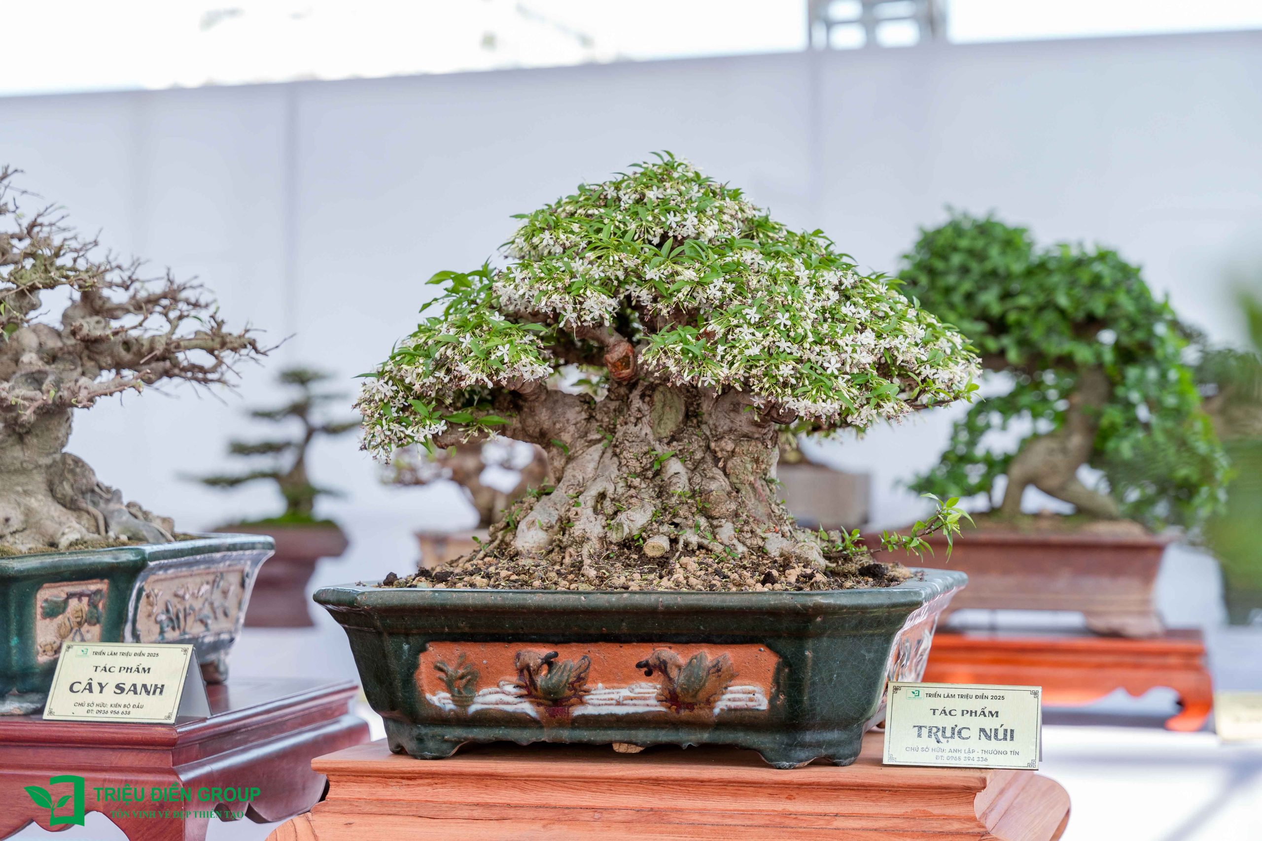 Thiết kế thi công sân vườn trọn gói tại hà nội