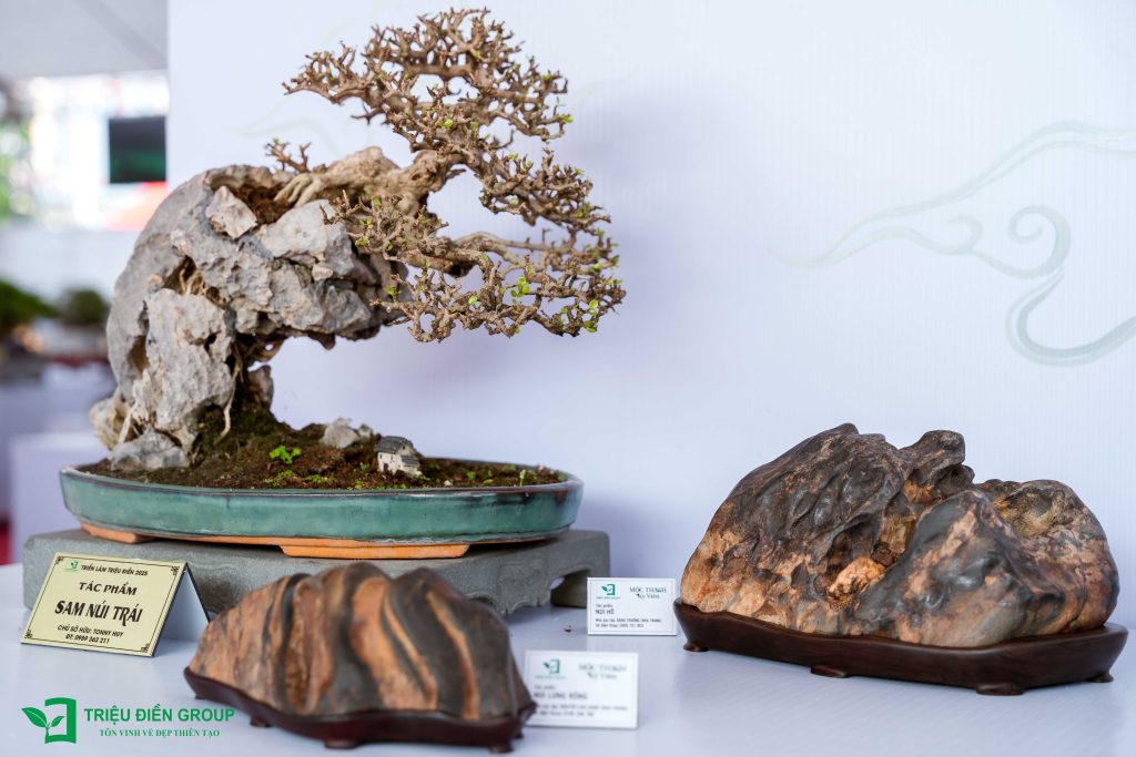 Sự kiện giao lưu – trưng bày tác phẩm nghệ thuật “Mộc Thạch Kỳ Viên” tháng 09/2025 4 Thiết kế thi công sân vườn trọn gói tại hà nội