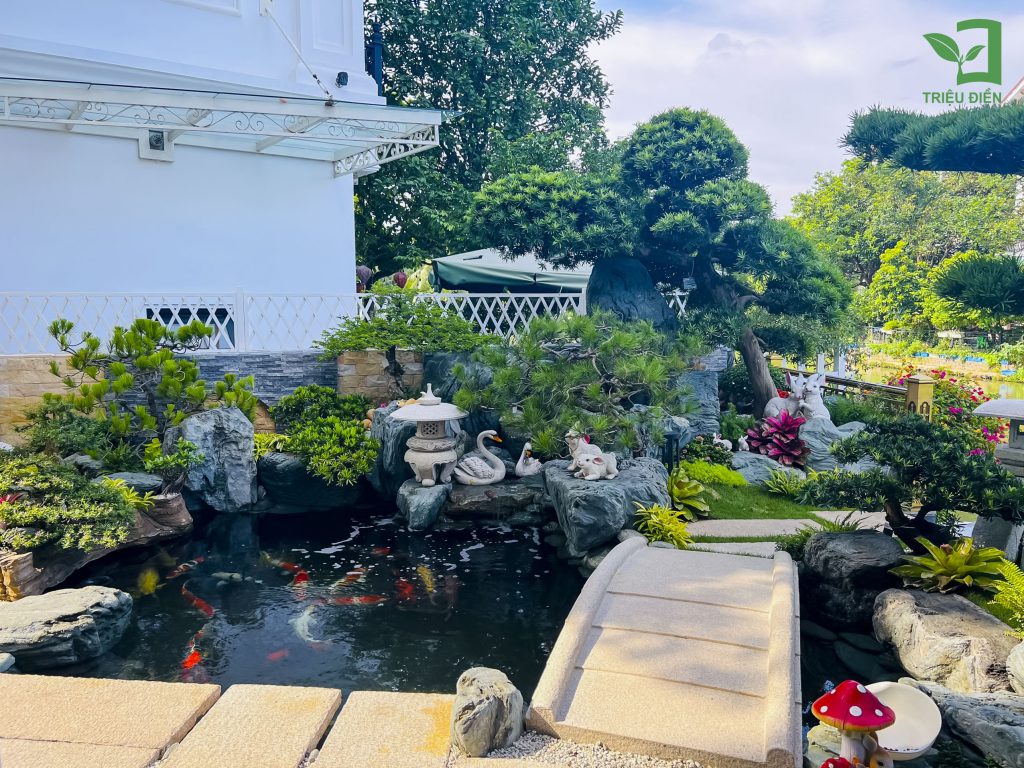 Tìm hiểu Nghệ thuật nuôi cá Koi chuẩn Nhật ngay trong vườn nhà 5 Thiết kế thi công sân vườn trọn gói tại hà nội