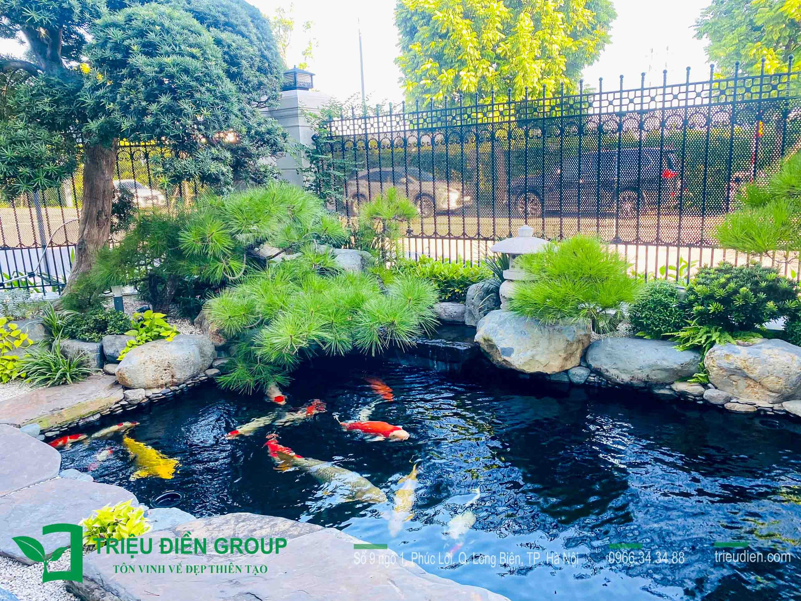 Tìm hiểu Nghệ thuật nuôi cá Koi chuẩn Nhật ngay trong vườn nhà