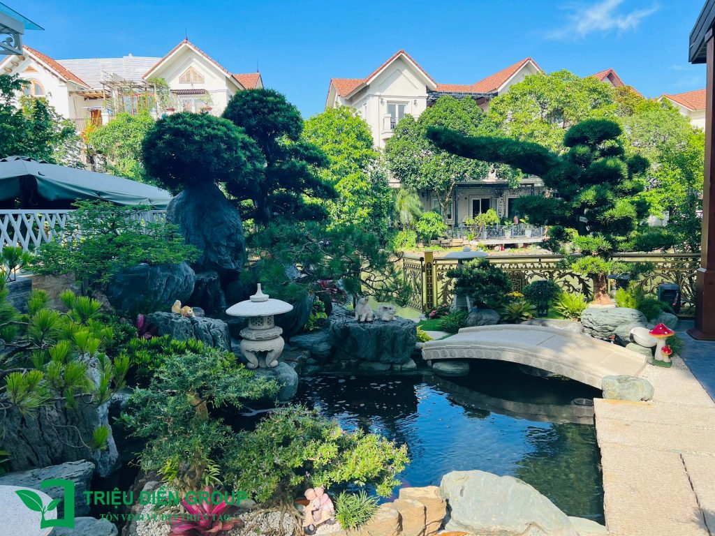Top 20+ Mẫu sân vườn đẹp nhất 2025 – Xu hướng thiết kế hiện đại 3 Thiết kế thi công sân vườn trọn gói tại hà nội