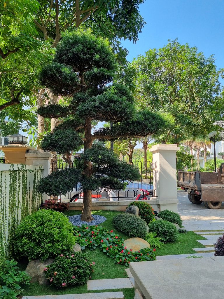 Hoa tiểu cảnh phù hợp với khí hậu Việt Nam - Giải pháp cho sân vườn biệt thự 14 Thiết kế thi công sân vườn trọn gói tại hà nội