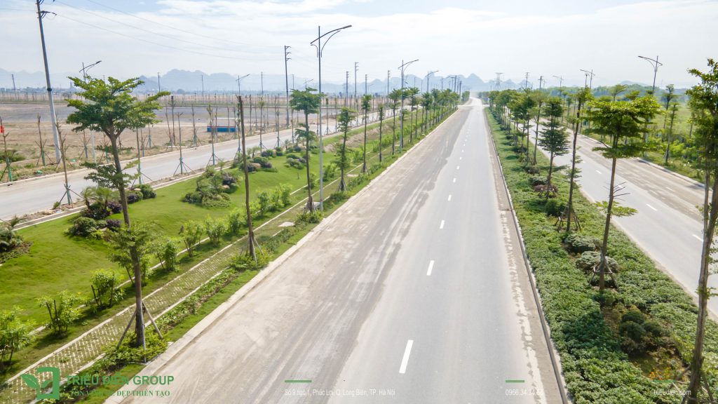 Cung cấp cây xanh công trình - Giải pháp xanh cho đô thị hiện đại 5 Thiết kế thi công sân vườn trọn gói tại hà nội