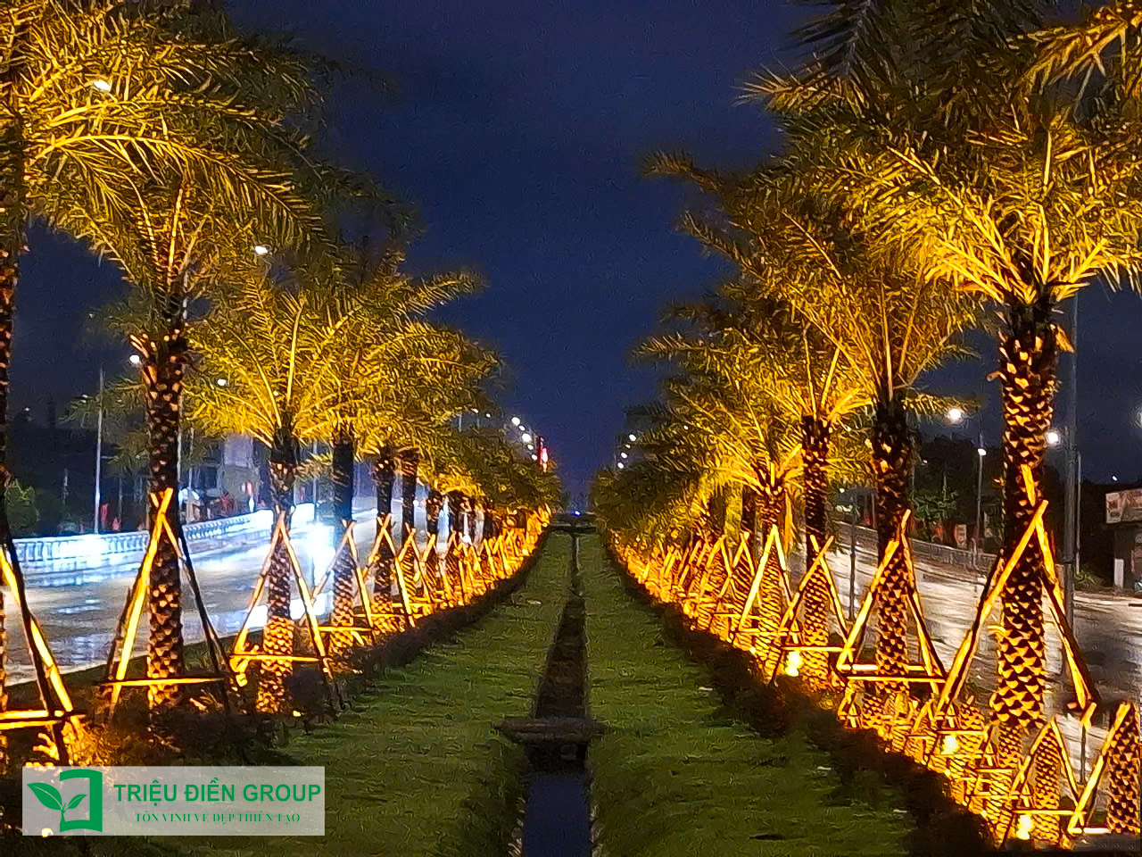 Cung cấp cây xanh công trình - Giải pháp xanh cho đô thị hiện đại 6 Cung cấp cây xanh công trình – Giải pháp xanh cho đô thị hiện đại