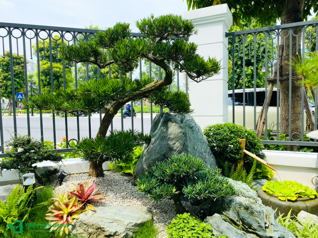 Cải tạo sân vườn biệt thự tại Ngọc Trai - Vinhomes Ocean Park