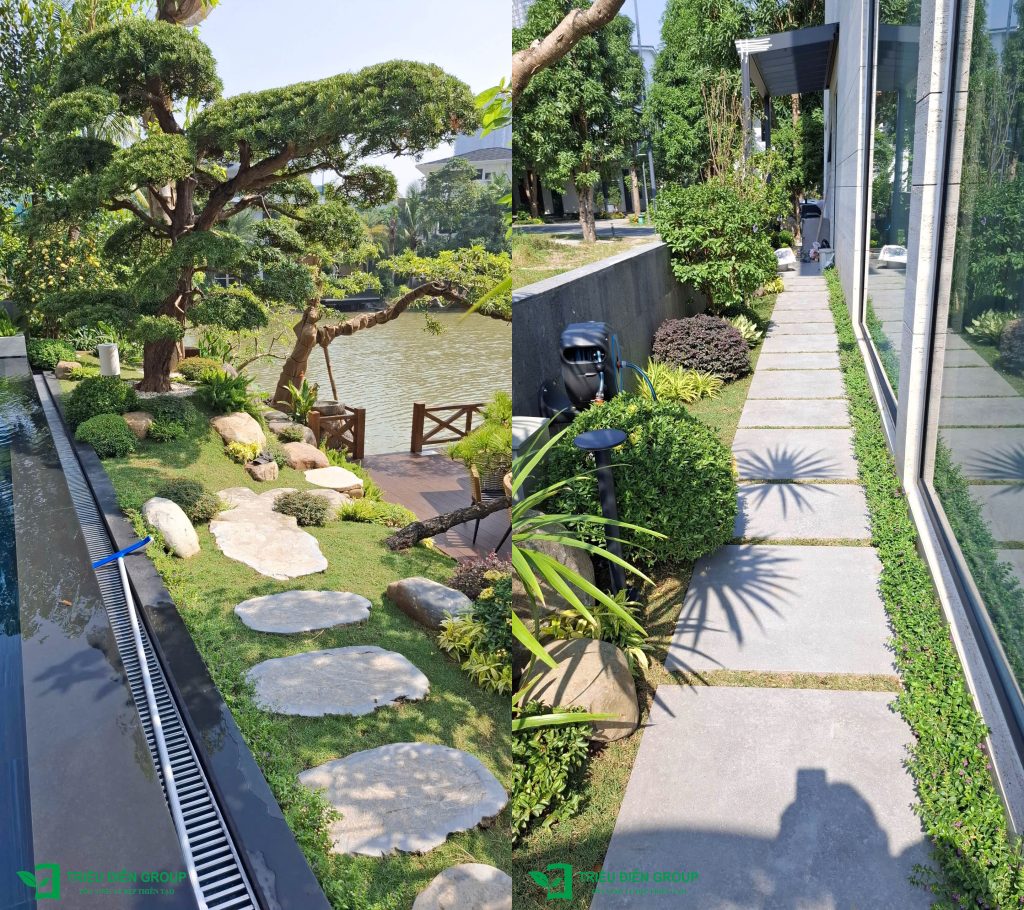 Thiết kế thi công sân vườn trọn gói tại hà nội