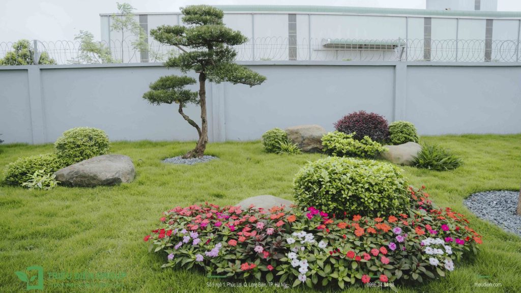 Hoa tiểu cảnh phù hợp với khí hậu Việt Nam - Giải pháp cho sân vườn biệt thự 7 Thiết kế thi công sân vườn trọn gói tại hà nội