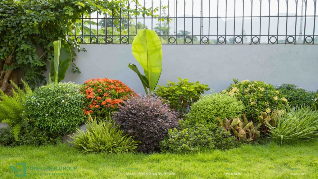 Hoa tiểu cảnh phù hợp với khí hậu Việt Nam - Giải pháp cho sân vườn biệt thự 6 Thiết kế thi công sân vườn trọn gói tại hà nội