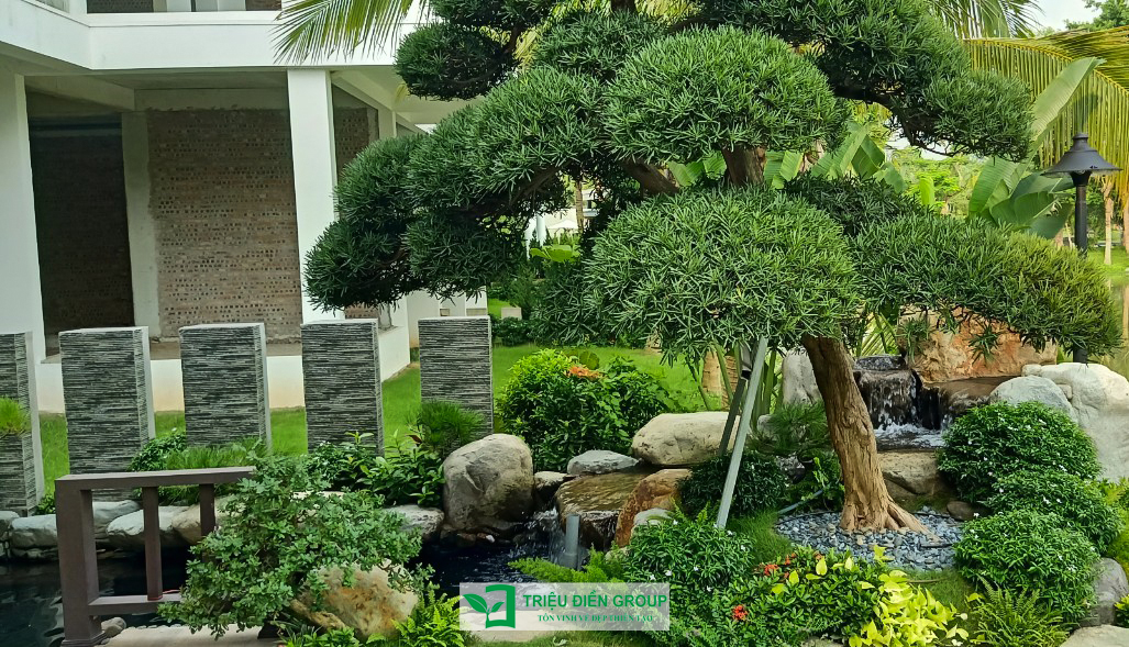 Những mẫu thiết kế tiểu cảnh sân vườn nhỏ đẹp giúp ngôi nhà luôn tươi mới và hài hòa 11 Những mẫu thiết kế tiểu cảnh sân vườn nhỏ đẹp giúp ngôi nhà luôn tươi mới và hài hòa