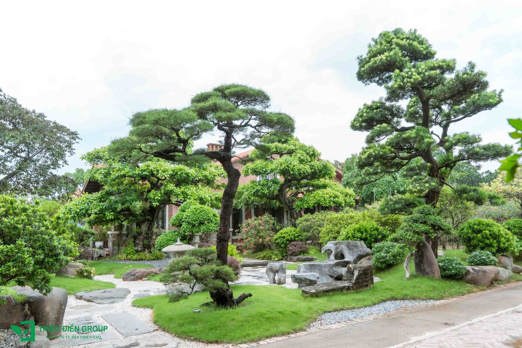 Thiết kế và thi công sân vườn biệt thự tại Hồ Chí Minh uy tín, đẳng cấp 15 Thiết kế thi công sân vườn trọn gói tại hà nội