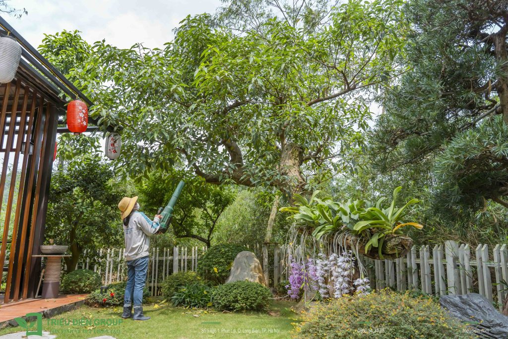 Thi công sân vườn biệt thự trọn gói tại Hưng Yên – Sang trọng và tinh tế trong từng chi tiết 13 Thiết kế thi công sân vườn trọn gói tại hà nội