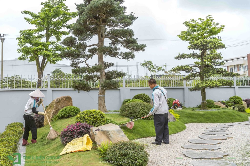 Giải pháp thiết kế và thi công sân vườn biệt thự tại Đà Nẵng toàn diện và chuyên nghiệp 14 Thiết kế thi công sân vườn trọn gói tại hà nội