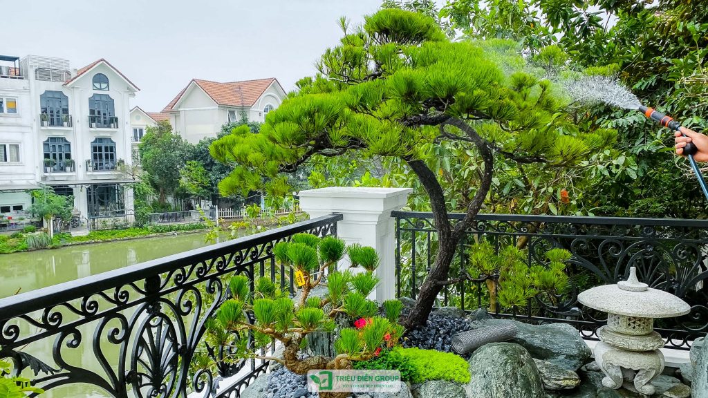 Gợi ý thiết kế ban công sân vườn nhỏ đẹp, tinh tế và đầy cảm hứng 3 Thiết kế thi công sân vườn trọn gói tại hà nội