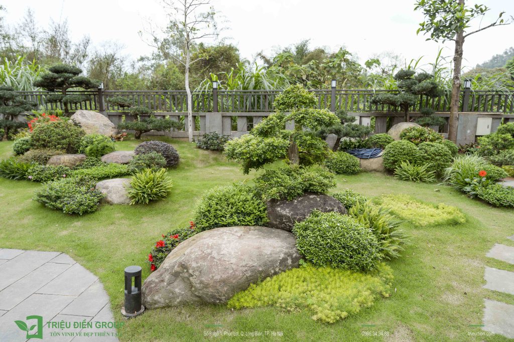 Thiết kế và thi công sân vườn biệt thự tại Hồ Chí Minh uy tín, đẳng cấp 8 Thiết kế thi công sân vườn trọn gói tại hà nội