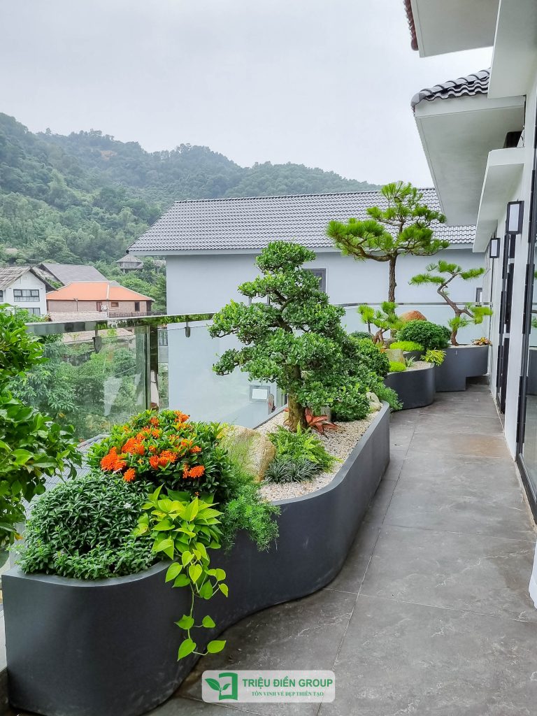 Gợi ý thiết kế ban công sân vườn nhỏ đẹp, tinh tế và đầy cảm hứng 20 Thiết kế thi công sân vườn trọn gói tại hà nội
