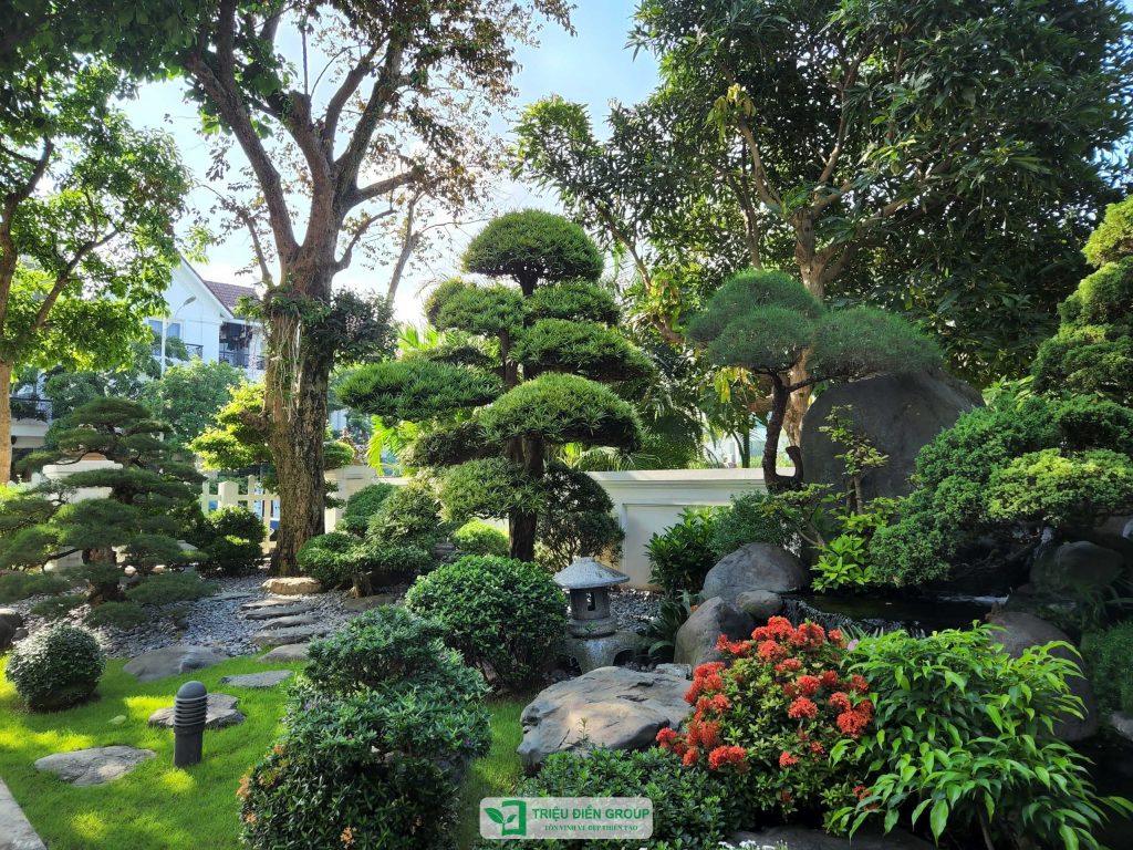 Thi công sân vườn biệt thự trọn gói tại Hưng Yên – Sang trọng và tinh tế trong từng chi tiết 14 Thiết kế thi công sân vườn trọn gói tại hà nội