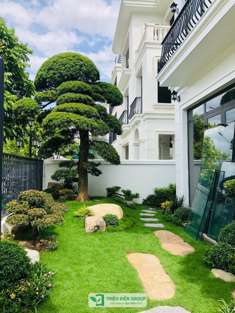 Giải pháp thiết kế và thi công sân vườn biệt thự tại Đà Nẵng toàn diện và chuyên nghiệp 8 Thiết kế thi công sân vườn trọn gói tại hà nội