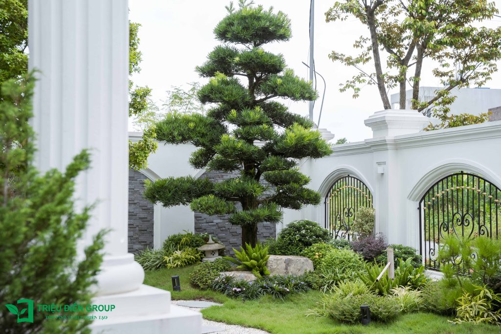 Những mẫu thiết kế tiểu cảnh sân vườn nhỏ đẹp giúp ngôi nhà luôn tươi mới và hài hòa 3 Thiết kế thi công sân vườn trọn gói tại hà nội