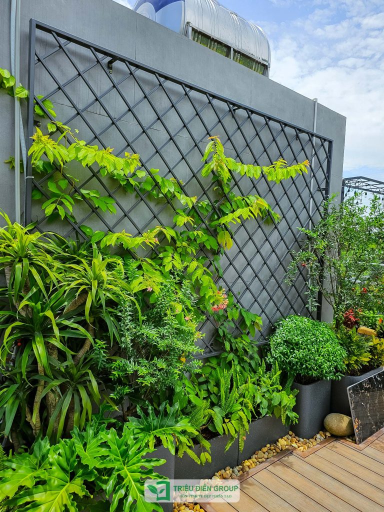 Gợi ý thiết kế ban công sân vườn nhỏ đẹp, tinh tế và đầy cảm hứng 6 Thiết kế thi công sân vườn trọn gói tại hà nội