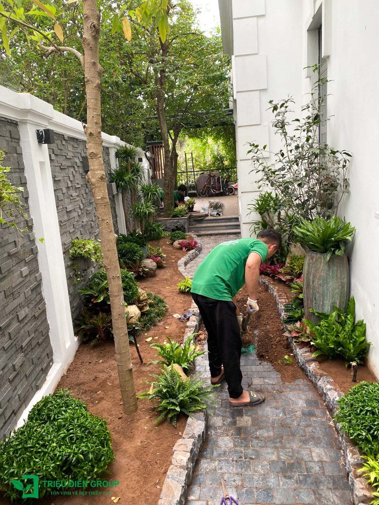 Giải pháp thiết kế và thi công sân vườn biệt thự tại Đà Nẵng toàn diện và chuyên nghiệp 7 Thiết kế thi công sân vườn trọn gói tại hà nội