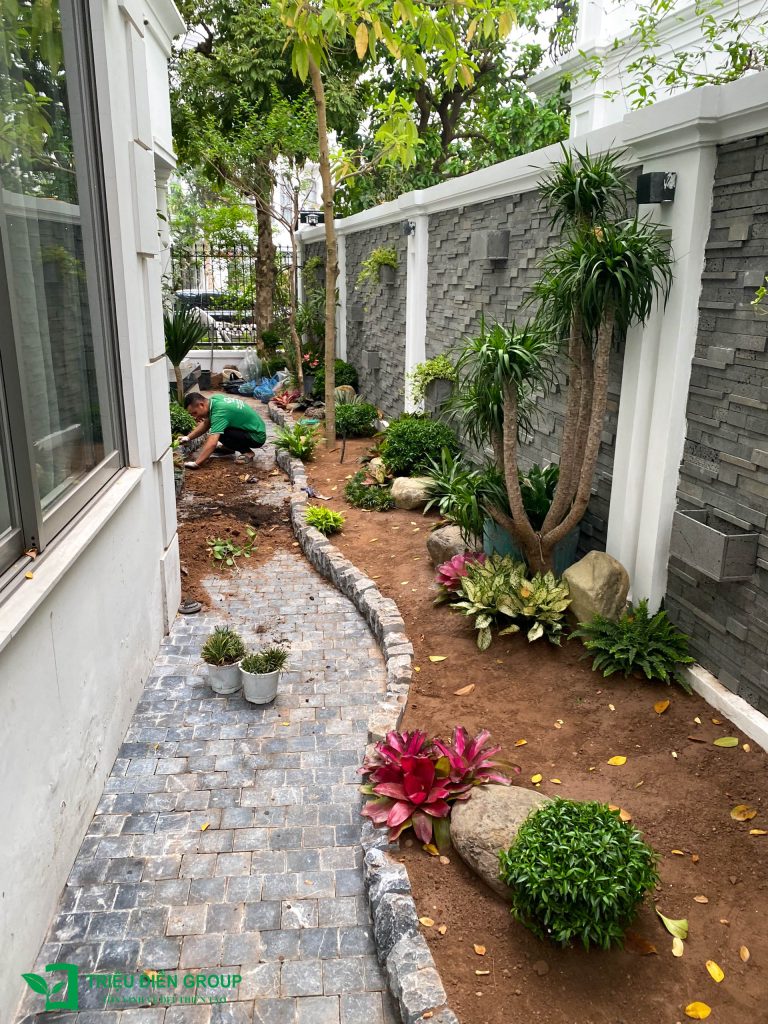Giải pháp thiết kế và thi công sân vườn biệt thự tại Đà Nẵng toàn diện và chuyên nghiệp 6 Thiết kế thi công sân vườn trọn gói tại hà nội
