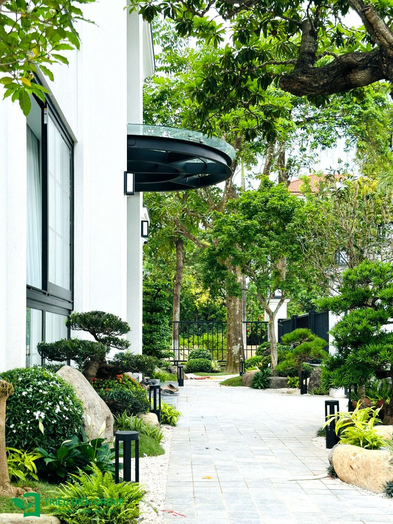 Những mẫu thiết kế tiểu cảnh sân vườn nhỏ đẹp giúp ngôi nhà luôn tươi mới và hài hòa 10 Thiết kế thi công sân vườn trọn gói tại hà nội