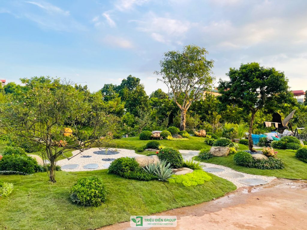 50+ Mẫu cải tạo sân vườn biệt thự đẹp và ấn tượng nhất hiện nay 6 Thiết kế thi công sân vườn trọn gói tại hà nội