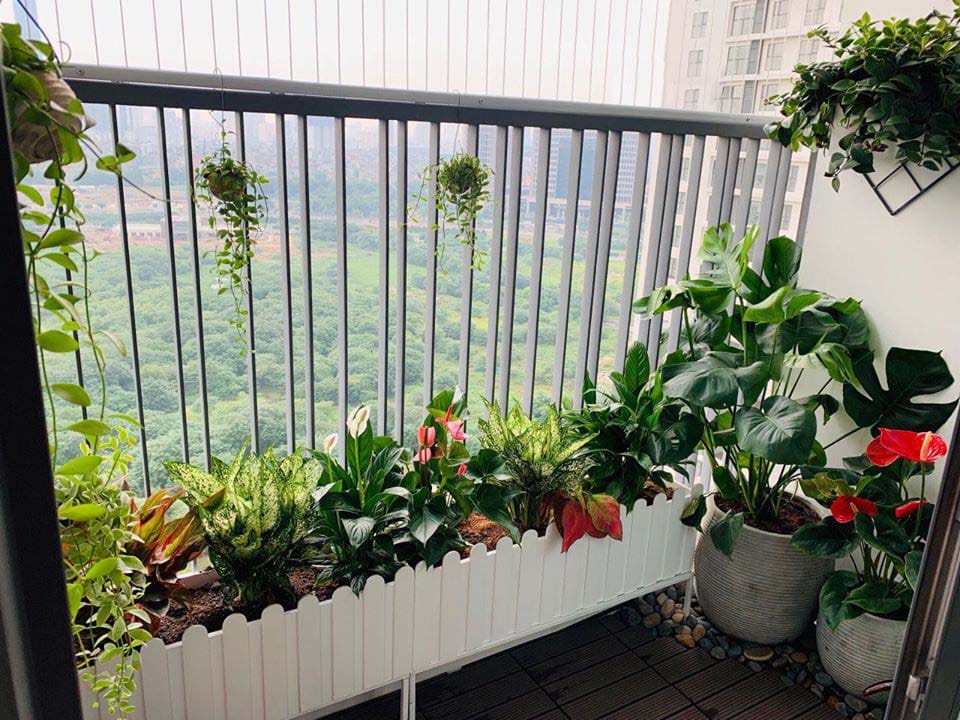 Gợi ý thiết kế ban công sân vườn nhỏ đẹp, tinh tế và đầy cảm hứng 18 Thiết kế thi công sân vườn trọn gói tại hà nội