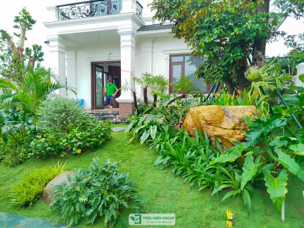 Giải pháp thiết kế và thi công sân vườn biệt thự tại Đà Nẵng toàn diện và chuyên nghiệp 2 Thiết kế thi công sân vườn trọn gói tại hà nội