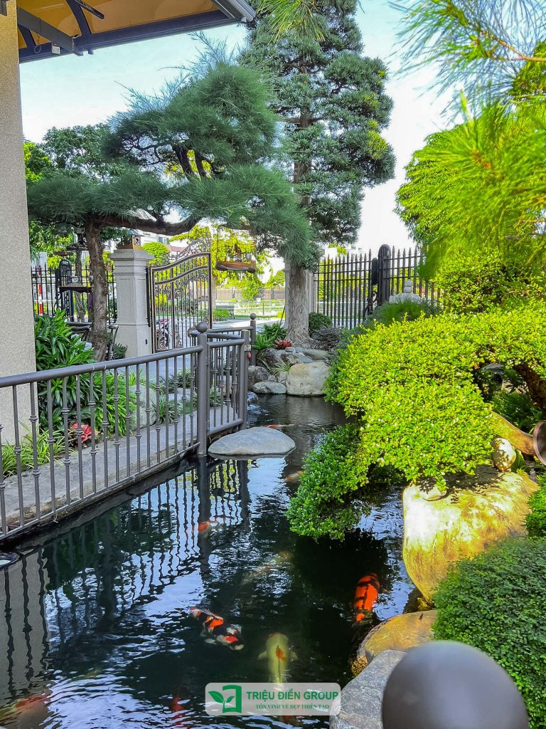 Thiết kế và thi công sân vườn biệt thự tại Hồ Chí Minh uy tín, đẳng cấp 14 Thiết kế thi công sân vườn trọn gói tại hà nội