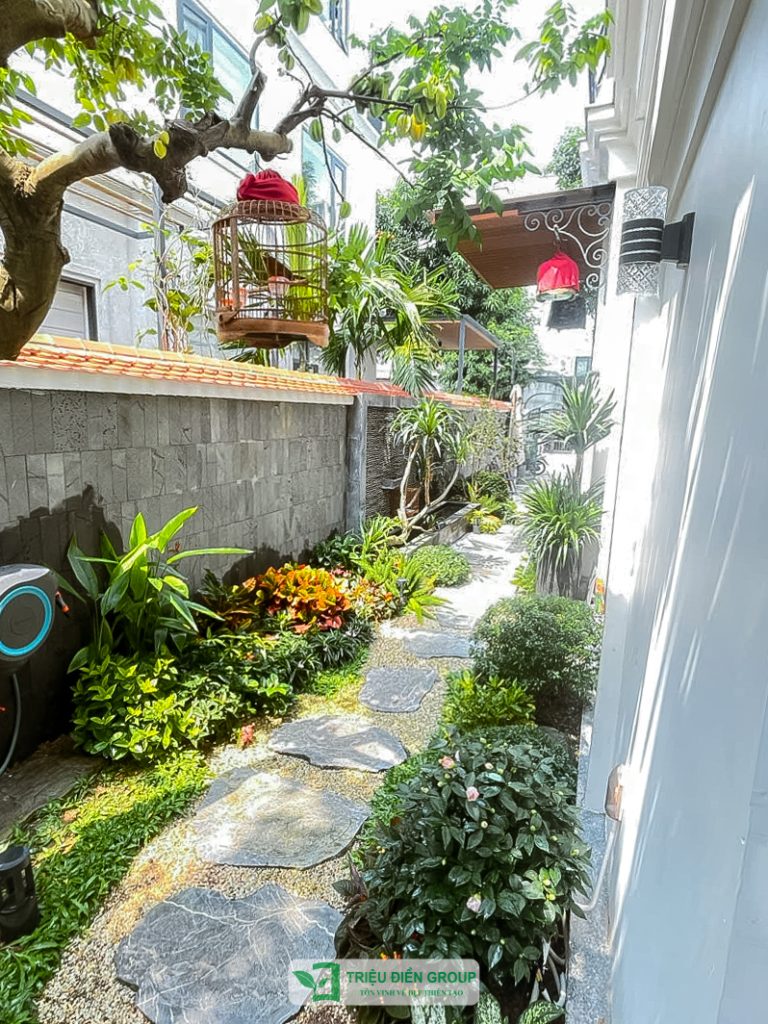 Thiết kế và thi công sân vườn biệt thự tại Hồ Chí Minh uy tín, đẳng cấp 5 Thiết kế thi công sân vườn trọn gói tại hà nội