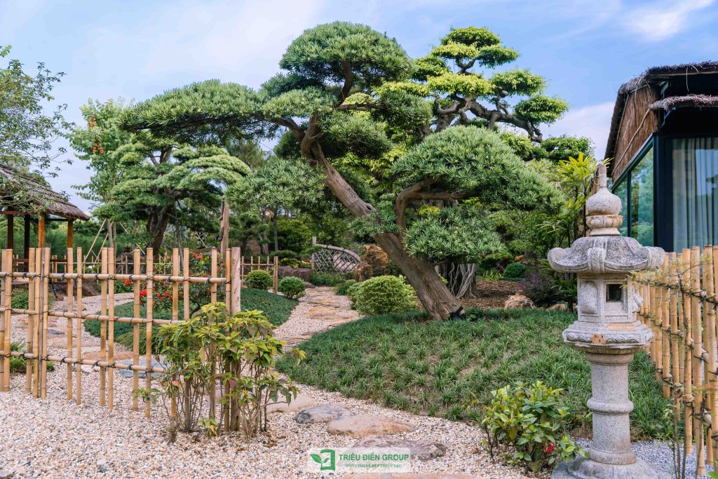 Triết lý Wabi-sabi trong nghệ thuật vườn Nhật: Vẻ đẹp mộc mạc trong thiết kế sân vườn chuẩn Nhật 11 Thiết kế thi công sân vườn trọn gói tại hà nội