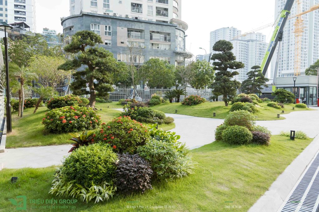 Xu hướng thiết kế cảnh quan chung cư 2025: Xanh, tiện ích và bền vững 4 Thiết kế thi công sân vườn trọn gói tại hà nội