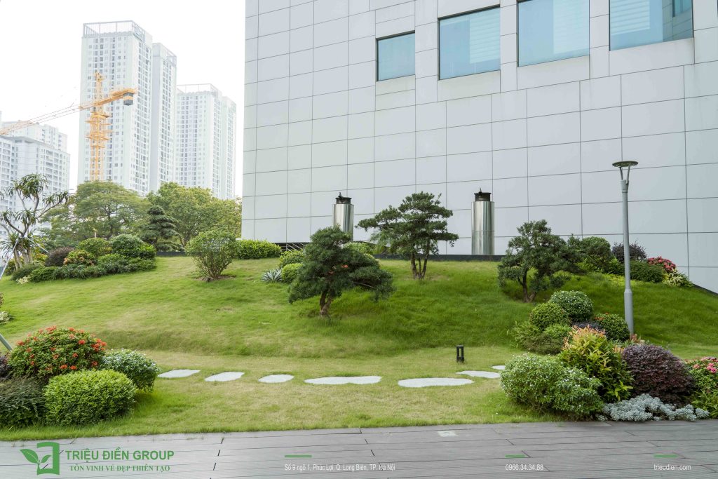 Xu hướng thiết kế cảnh quan chung cư 2025: Xanh, tiện ích và bền vững 6 Thiết kế thi công sân vườn trọn gói tại hà nội
