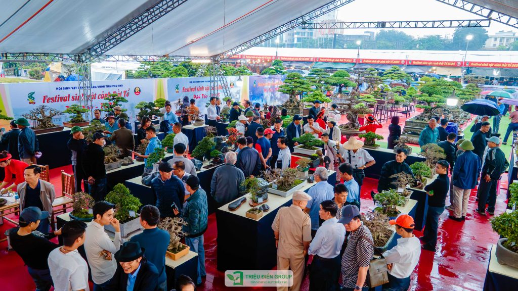 Thiết kế thi công sân vườn trọn gói tại hà nội