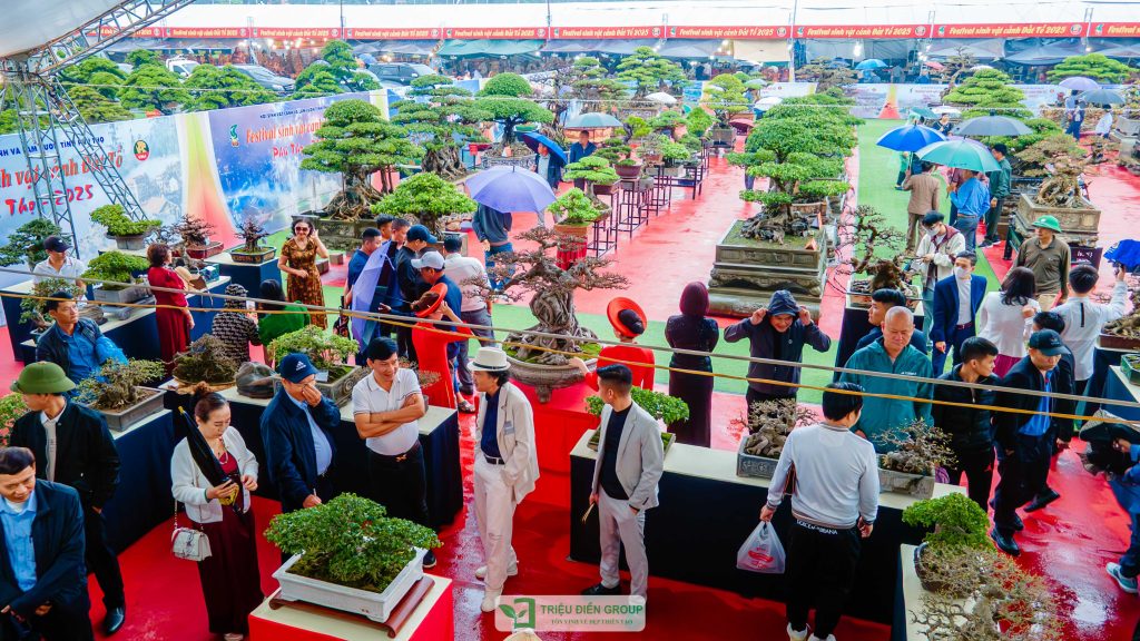 Thiết kế thi công sân vườn trọn gói tại hà nội