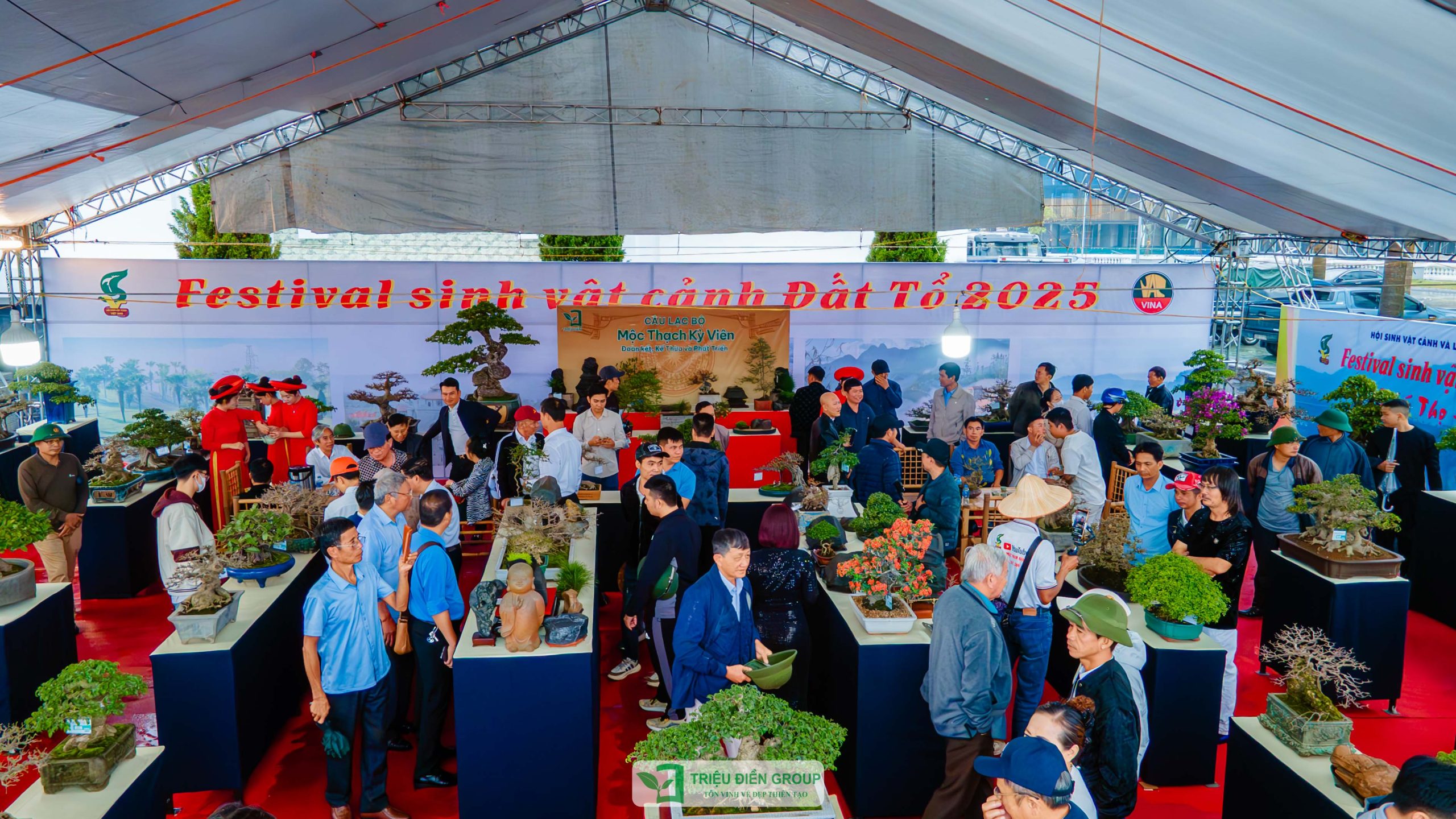 CLB Mộc Thạch Kỳ Viên tham dự Festival Sinh vật cảnh Đất tổ Phú Thọ 2025 13 CLB Mộc Thạch Kỳ Viên tham dự Festival Sinh vật cảnh Đất tổ Phú Thọ 2025