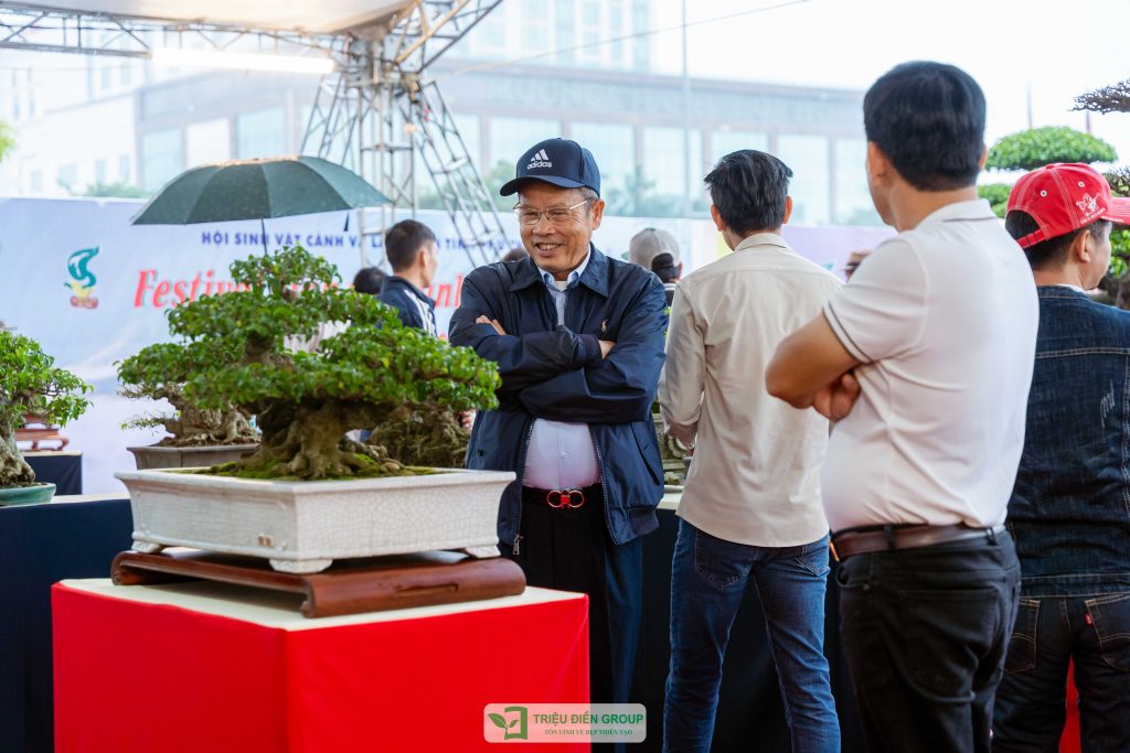 Thiết kế thi công sân vườn trọn gói tại hà nội