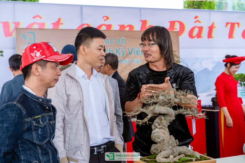 Thiết kế thi công sân vườn trọn gói tại hà nội